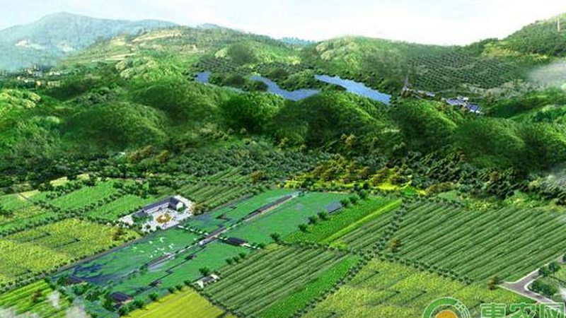 农民专业合作社分红协议：构建公平透明的利益分配机制