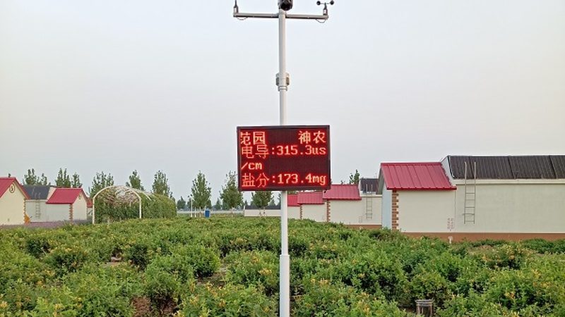 农业产业园规划设计：从蓝图到丰收的步骤解析**