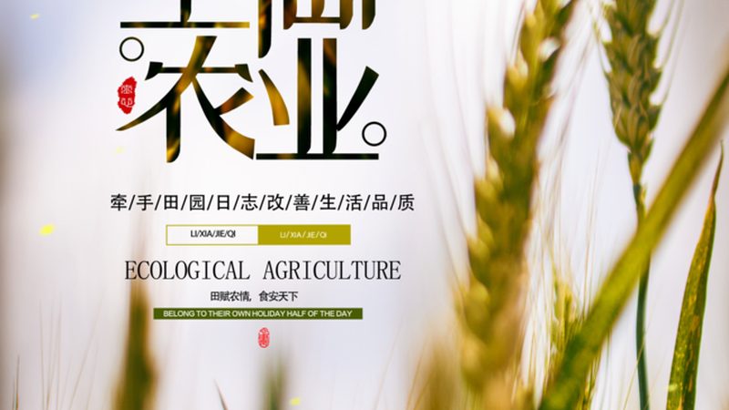 山东寿光设施农业：揭秘高效农业的“幕后英雄”**
