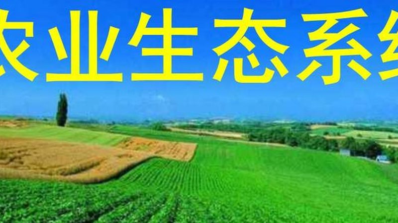 社区果蔬配送怎么做流程