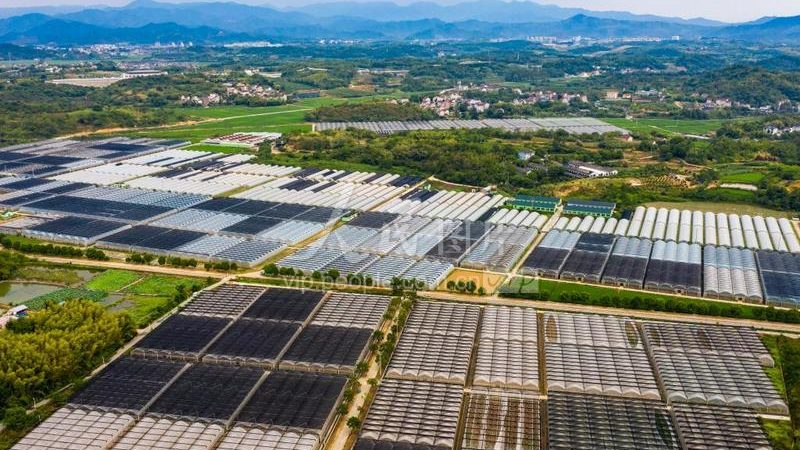 蔬菜玻璃温室大棚定制方案：构建高效农业生产环境