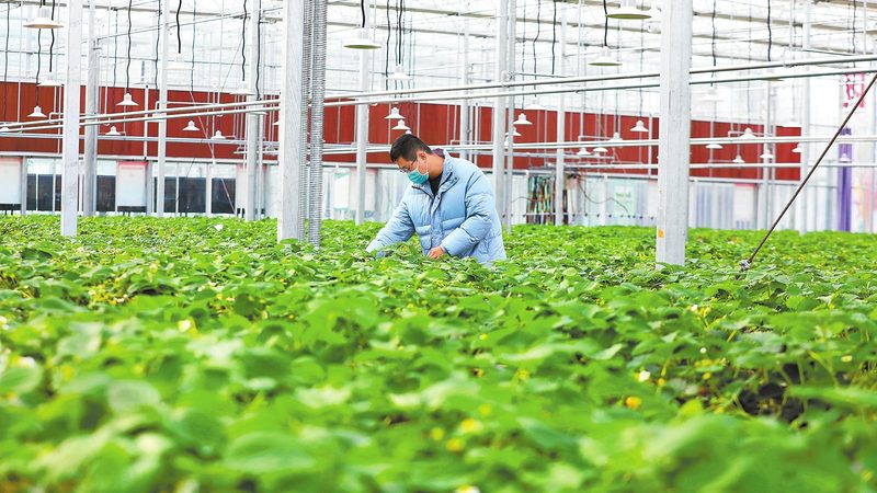 休闲农业项目加盟：如何选择与避坑指南