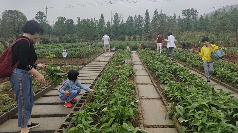 家庭农场营业执照办理，这些条件你了解吗？**