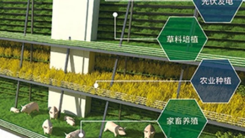 农产品供应链金融合作，如何把握合作条件？**