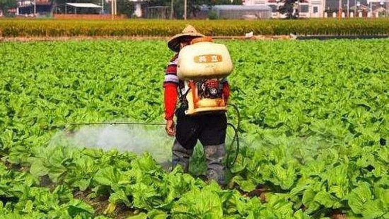 农业项目补贴申请，这些要点你不可不知**